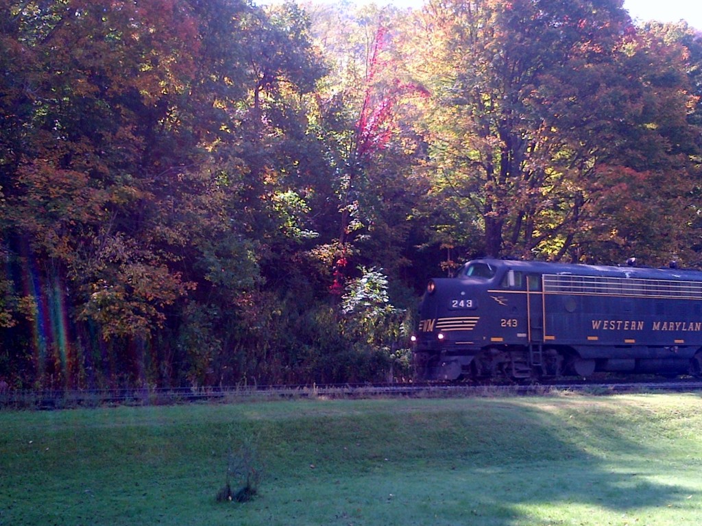 Scenic Train